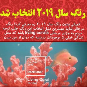 از رنگ منتخب سال چه می دانید؟